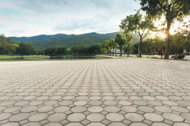 Best Concrete Paver Driveway  in Cockrell Hill, TX